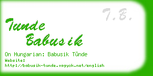 tunde babusik business card